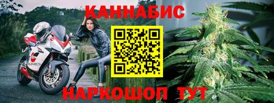 стаф Отрадный