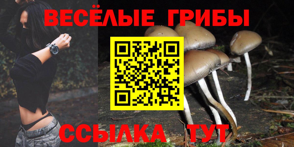 Псилоцибиновые грибы ЛСД  Вход с VPN  Псилоцибиновые грибы Psilocybe  Домодедово 